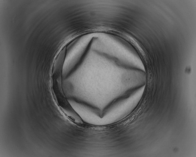 X0000098070810200804251437