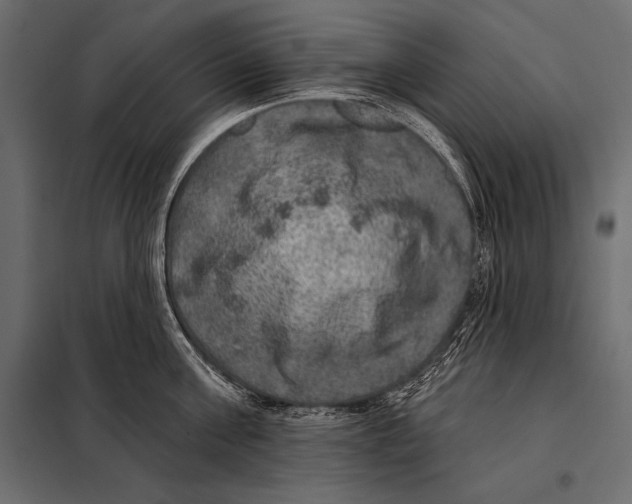 X0000098070811200804251437