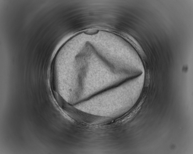 X0000098070812200804251437