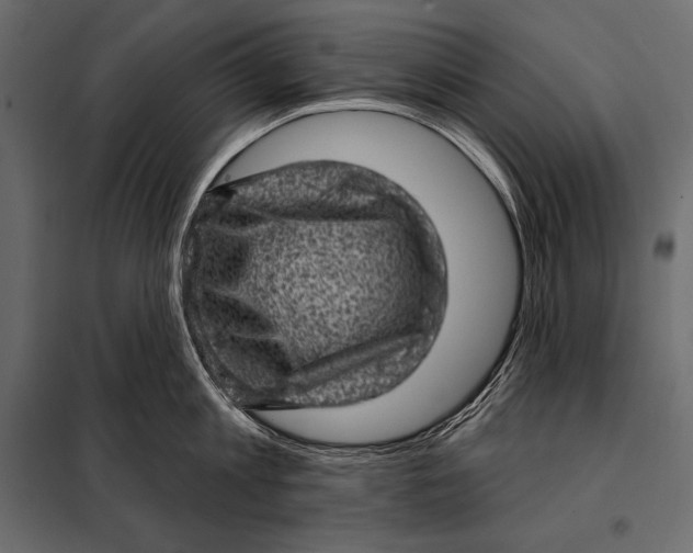 X0000098070813200804251437