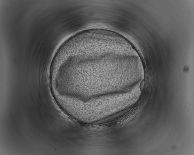 X0000098070815200804251437