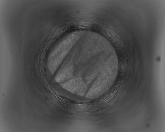 X0000098070817200804251436