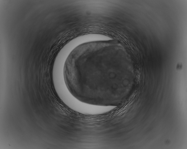 X0000098070818200804251436