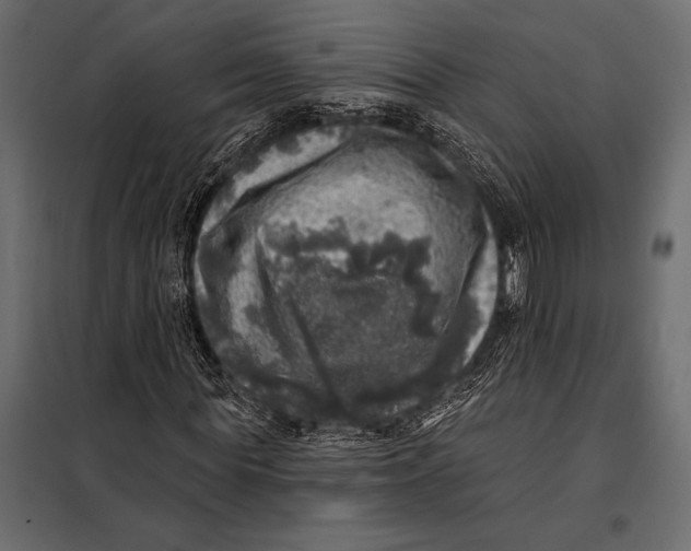 X0000098070819200804251436