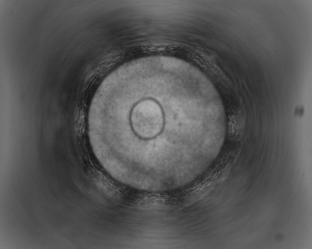 X0000098070820200804251436