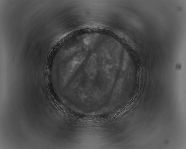 X0000098070822200804251436