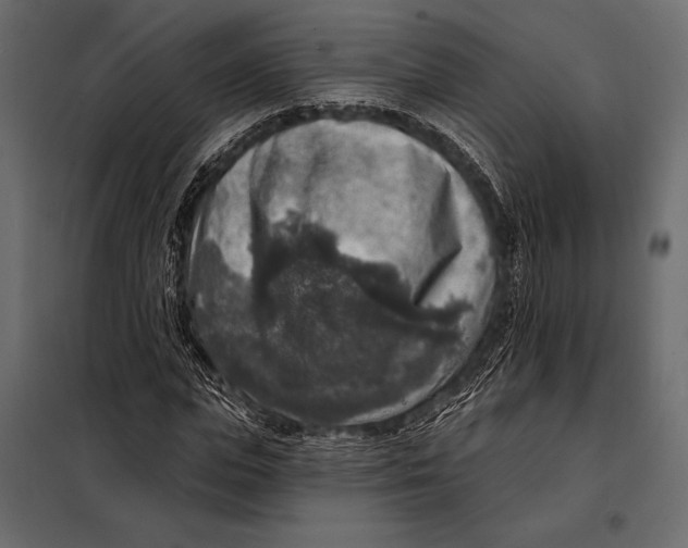 X0000098070823200804251436