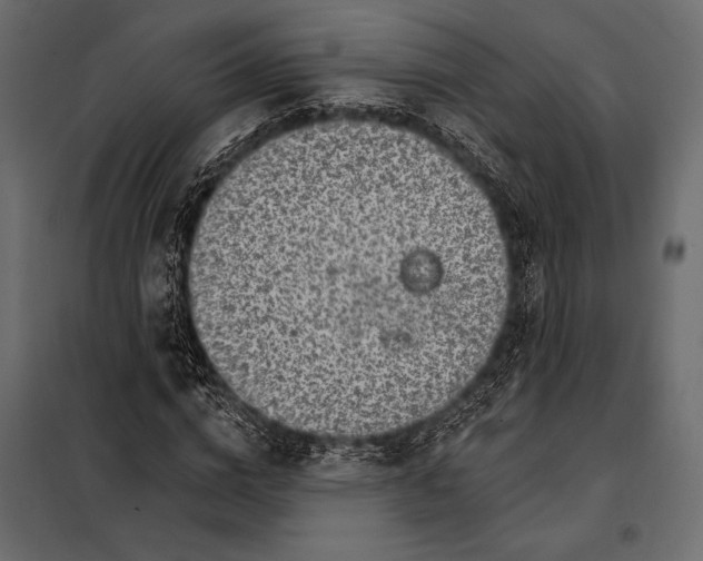 X0000098070824200804251436