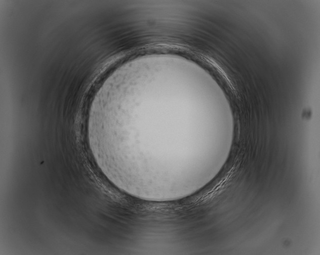 X0000098070828200804251436