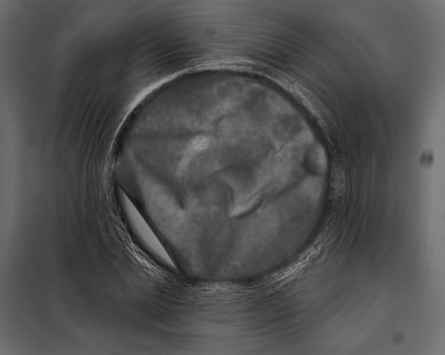 X0000098070830200804251436