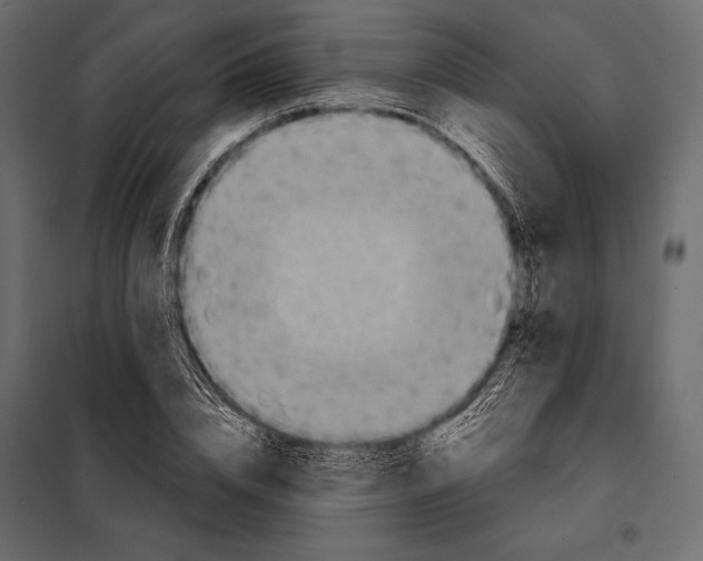 X0000098070832200804251436