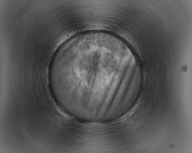 X0000098070834200804251436