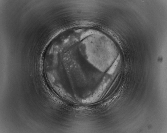 X0000098070835200804251436