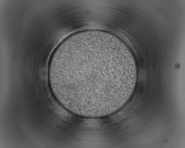 X0000098070836200804251436