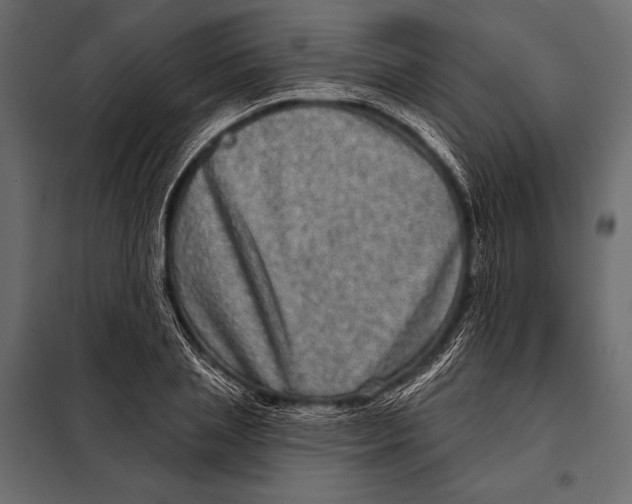 X0000098070837200804251436