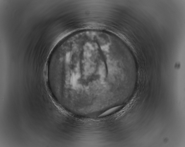 X0000098070838200804251436