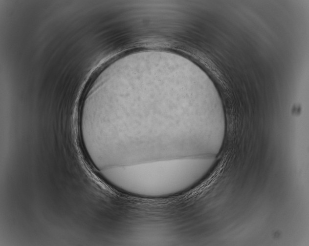 X0000098070840200804251436