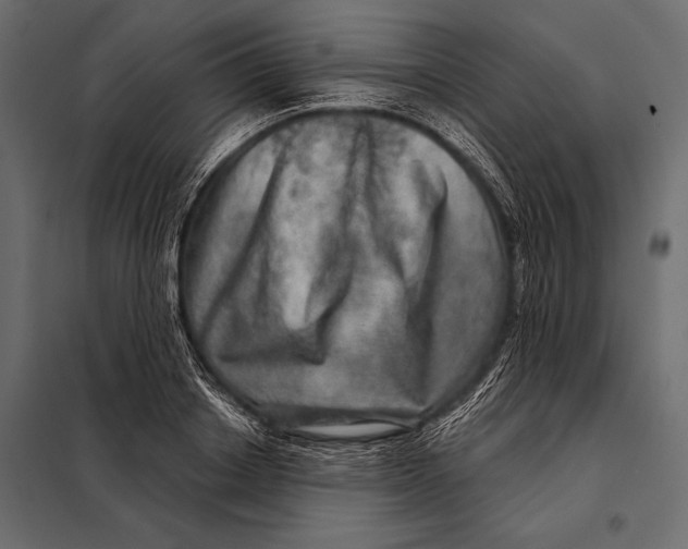 X0000098070842200804251436