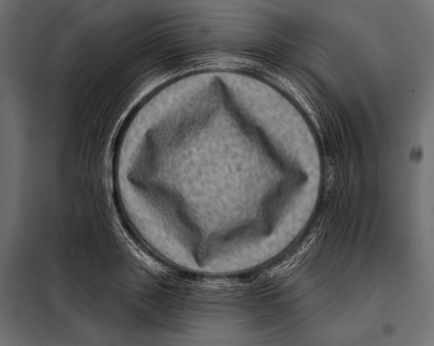 X0000098070843200804251436