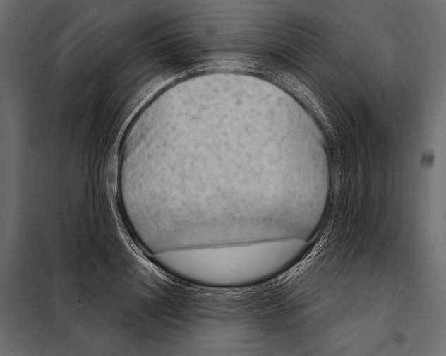 X0000098070844200804251436