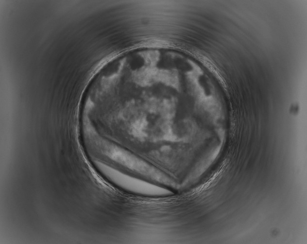 X0000098070845200804251436