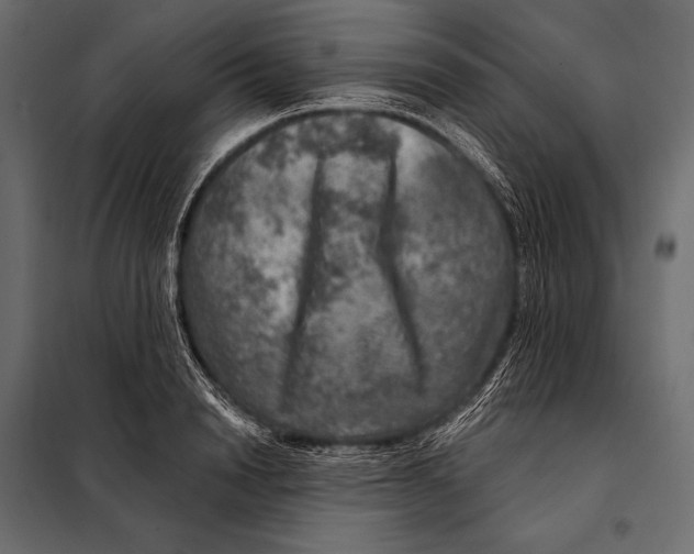 X0000098070846200804251436