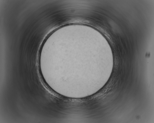 X0000098070848200804251436