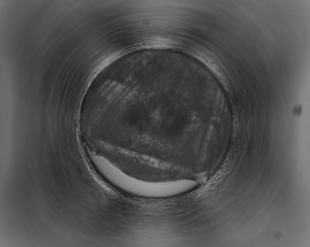 X0000098070850200804251436