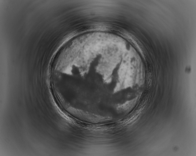 X0000098070851200804251436