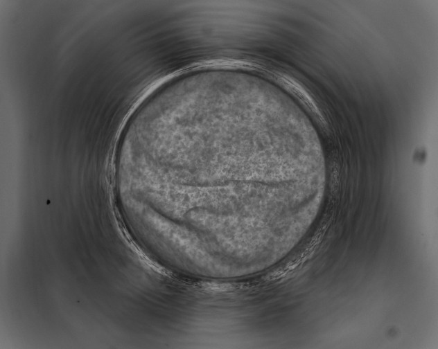 X0000098070852200804251437