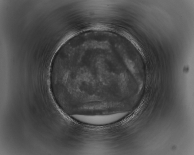 X0000098070853200804251437