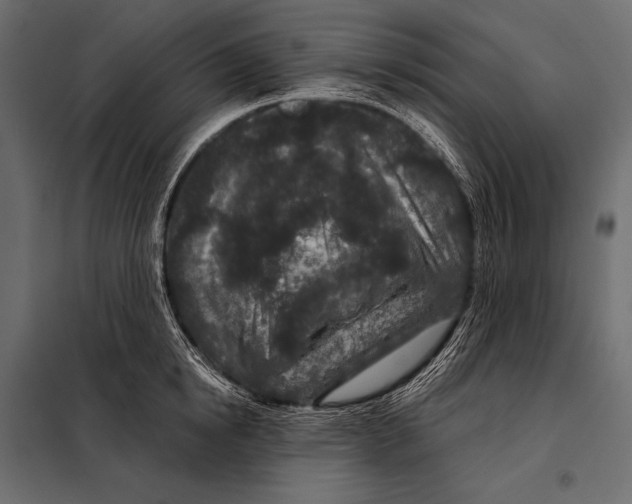 X0000098070854200804251437