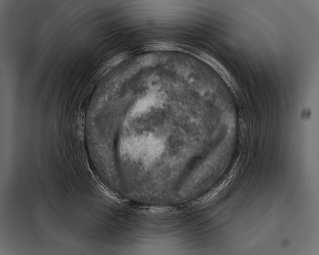 X0000098070857200804251437