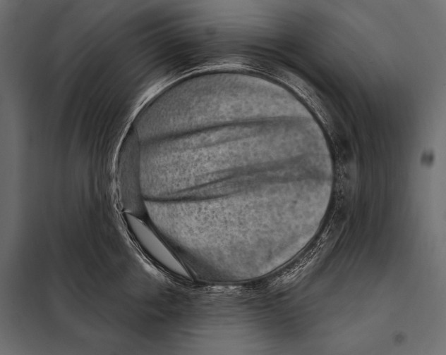 X0000098070858200804251437