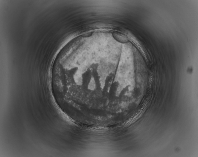 X0000098070859200804251437