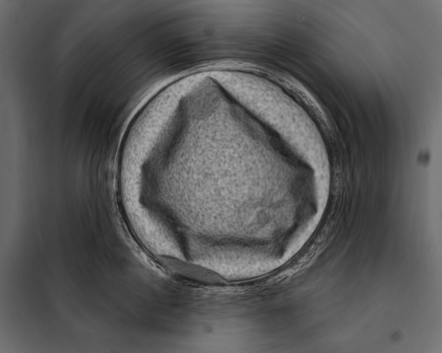 X0000098070860200804251437