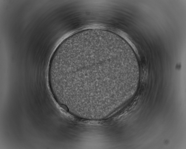 X0000098070861200804251437