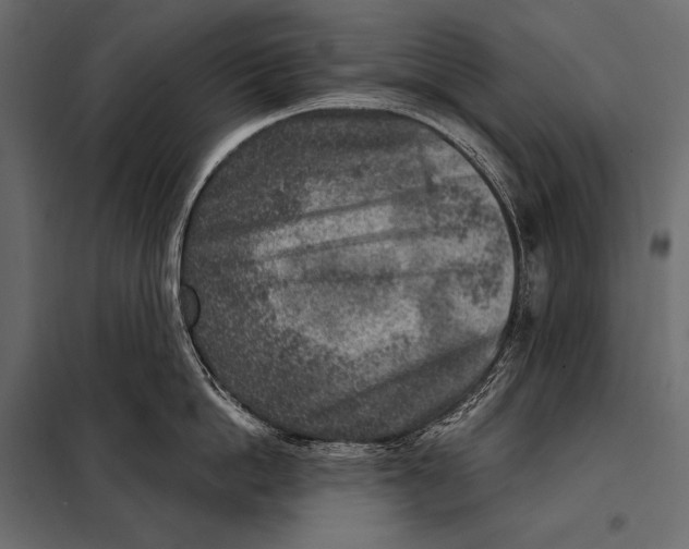 X0000098070862200804251437