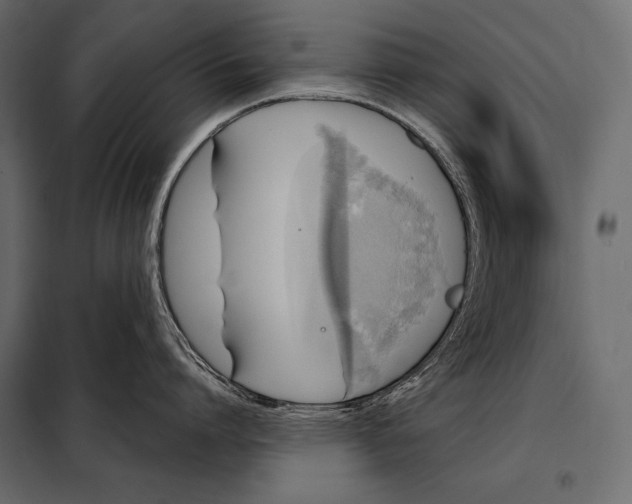 X0000098070864200804251437