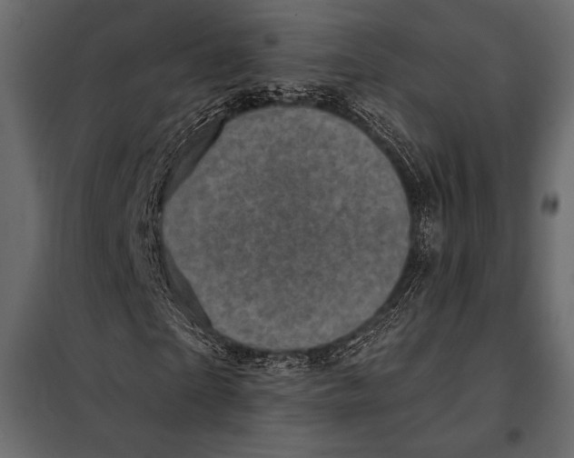 X0000098070865200804251436