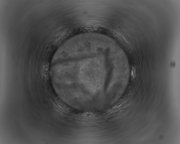 X0000098070867200804251436