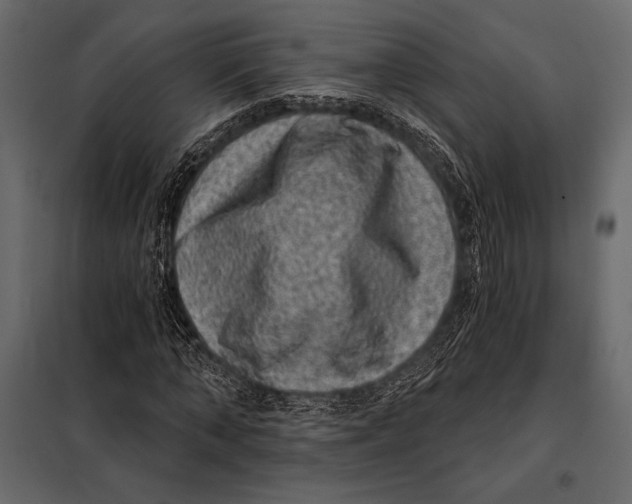 X0000098070870200804251436