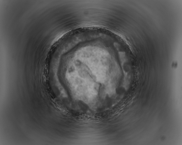 X0000098070871200804251436