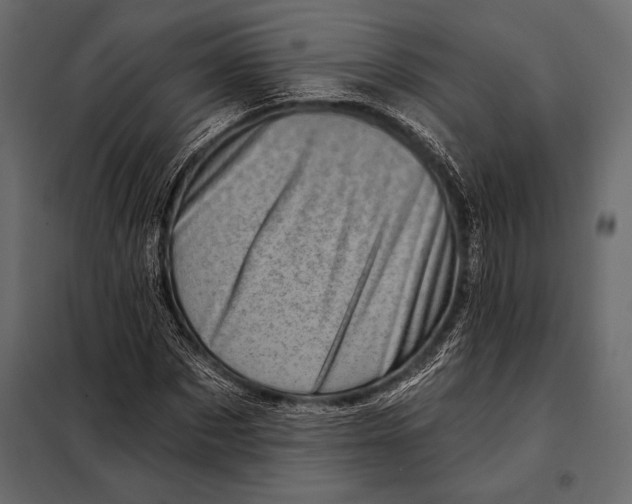 X0000098070873200804251436