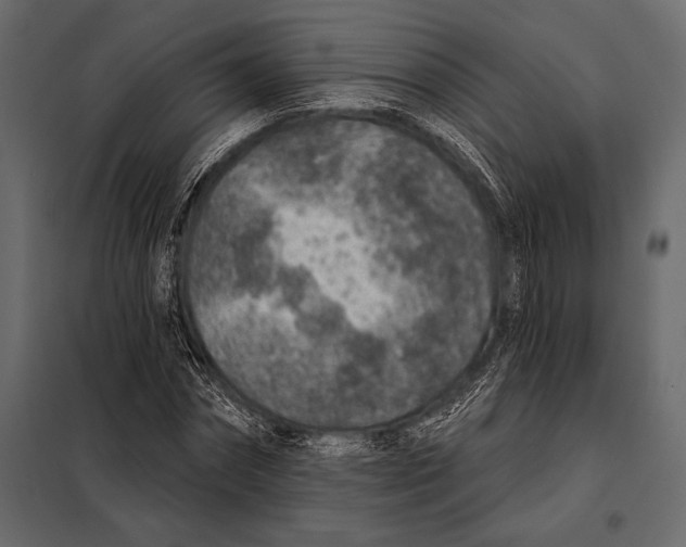 X0000098070874200804251436