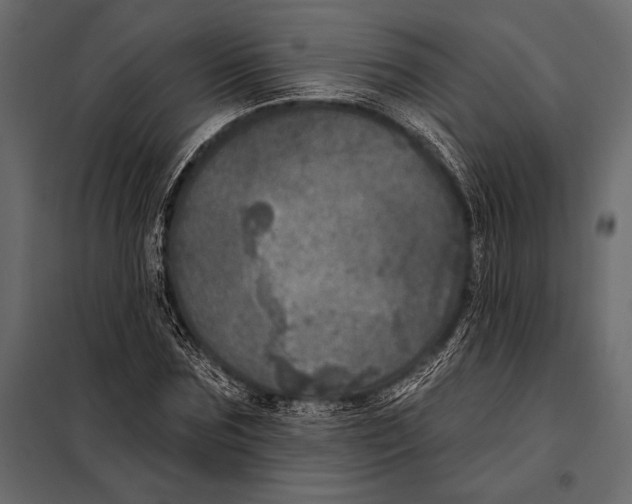 X0000098070875200804251436