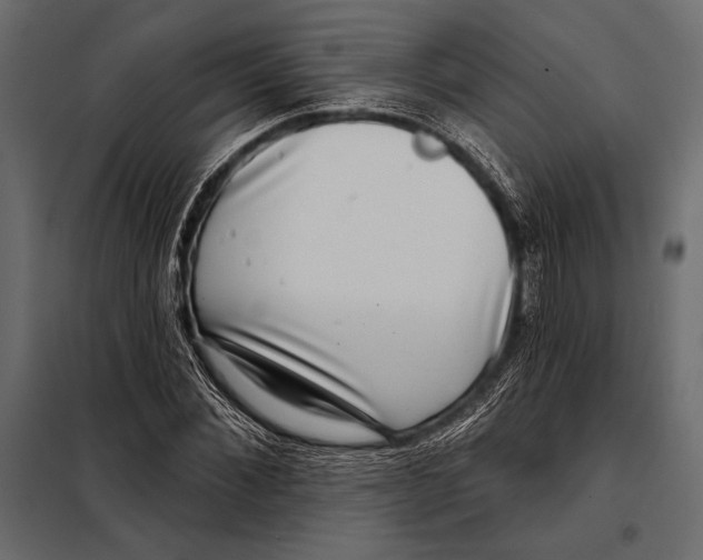 X0000098070876200804251436