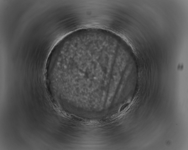 X0000098070879200804251436