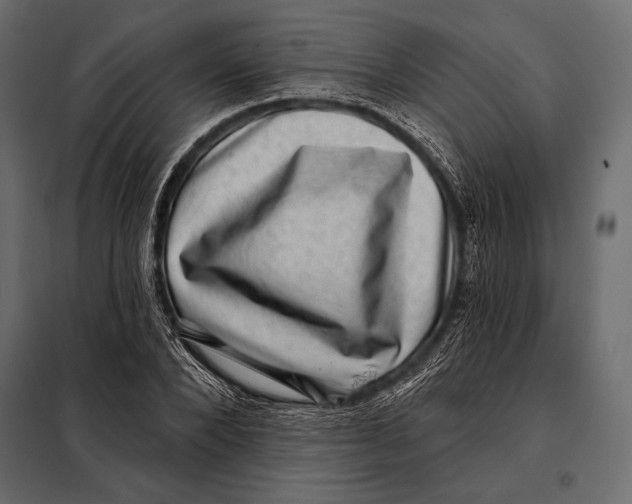 X0000098070880200804251436