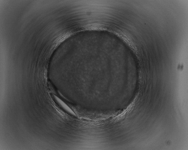 X0000098070881200804251436